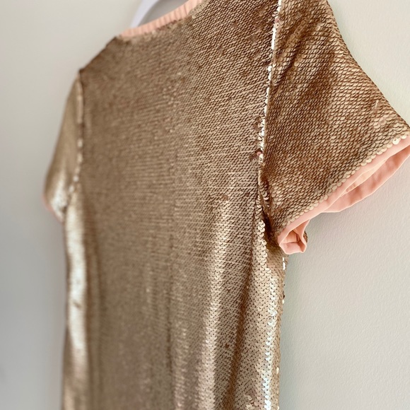 NWT TOBI SHIFT IN TIME BLUSH Sequin DRESS - Picture 8 of 8